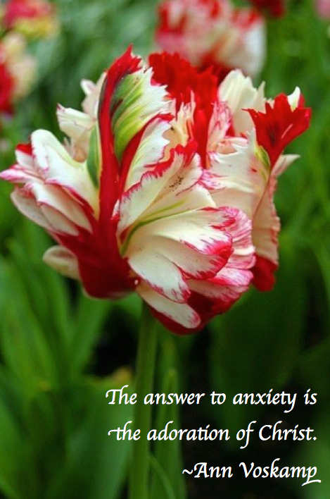 Screen Shot 2018-04-17 at 5.46.23 PM.png