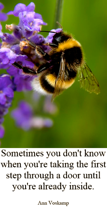 Screen Shot 2018-04-17 at 5.49.29 PM.png