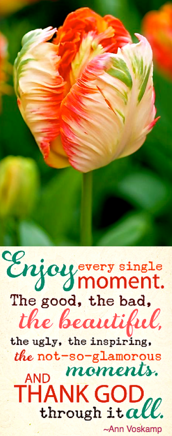 Screen Shot 2018-04-17 at 5.55.41 PM.png