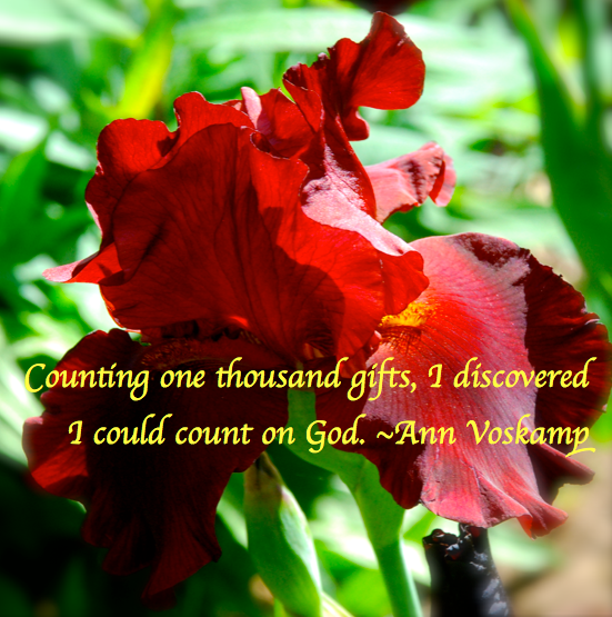 Screen Shot 2018-04-17 at 6.10.14 PM.png