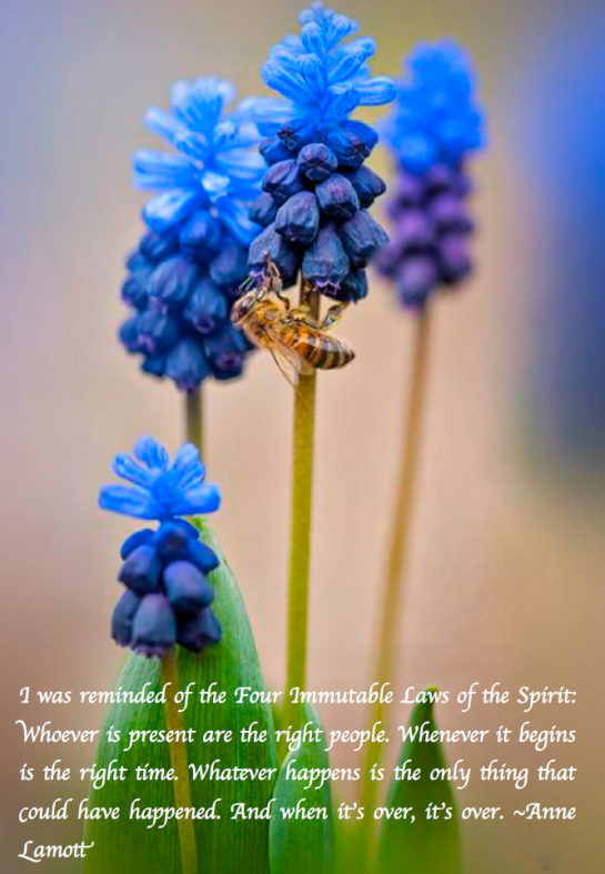 Screen Shot 2018-04-17 at 6.15.32 PM.png