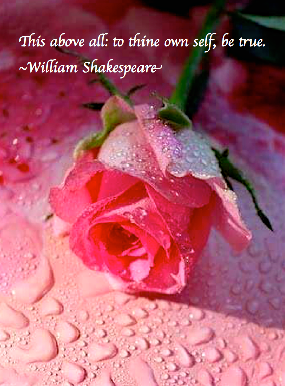 Screen Shot 2018-04-20 at 10.02.14 PM.png