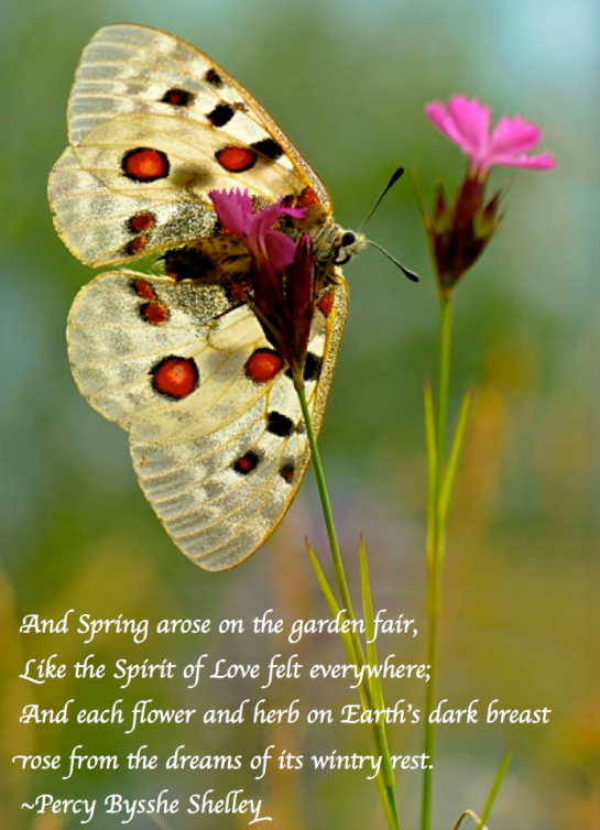 Screen Shot 2018-04-20 at 10.04.44 PM.png