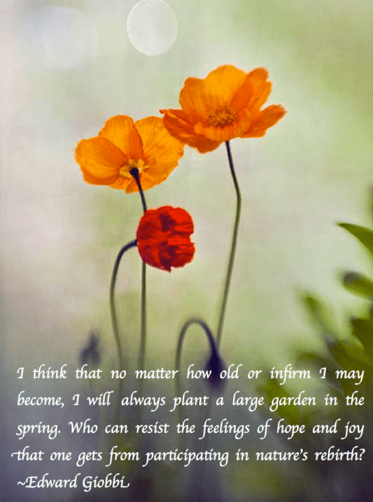 Screen Shot 2018-04-20 at 10.07.27 PM.png