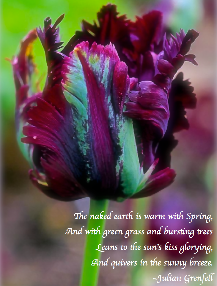 Screen Shot 2018-04-20 at 10.10.02 PM.png