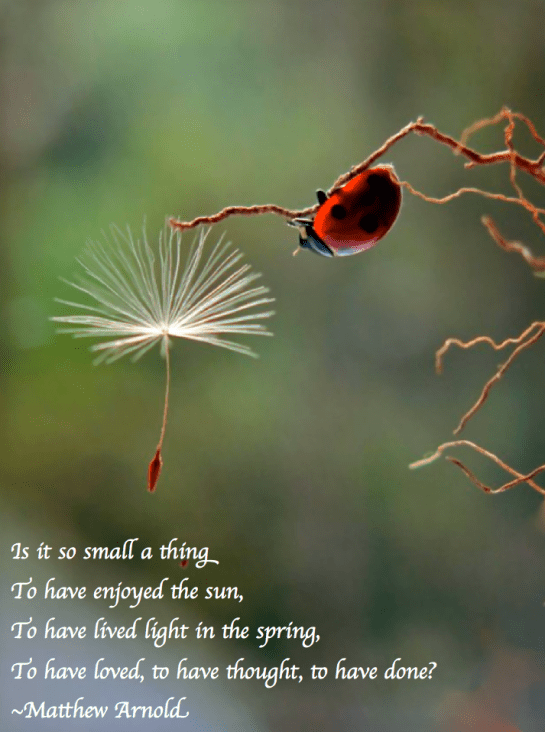 Screen Shot 2018-04-20 at 10.12.37 PM.png