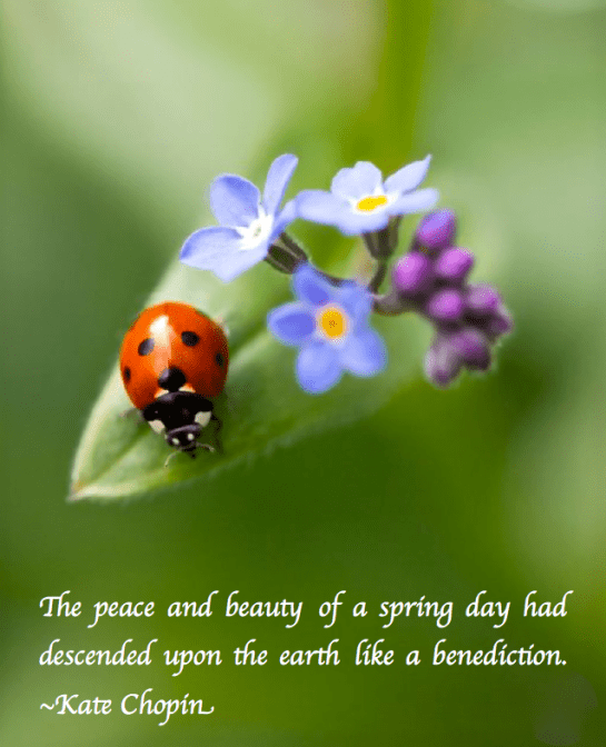 Screen Shot 2018-04-20 at 10.14.54 PM.png