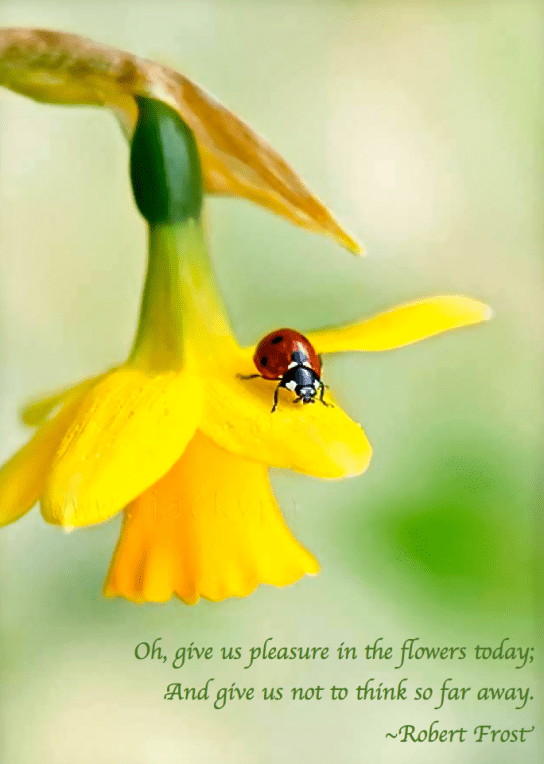 Screen Shot 2018-04-20 at 10.17.26 PM.png