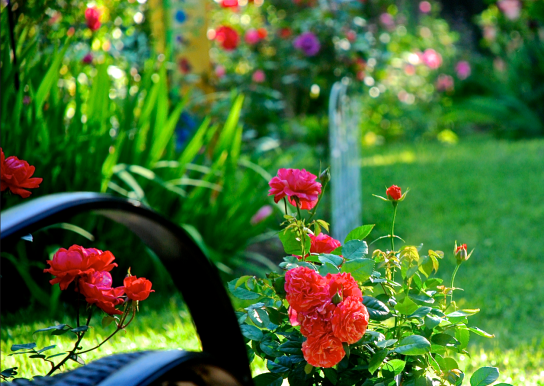 Screen Shot 2018-04-20 at 6.07.56 PM.png