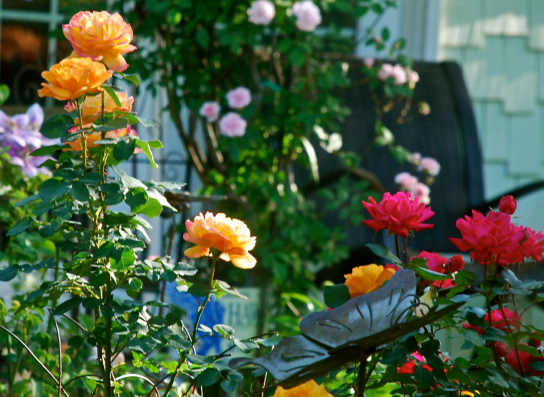 Screen Shot 2018-04-20 at 6.08.36 PM.png