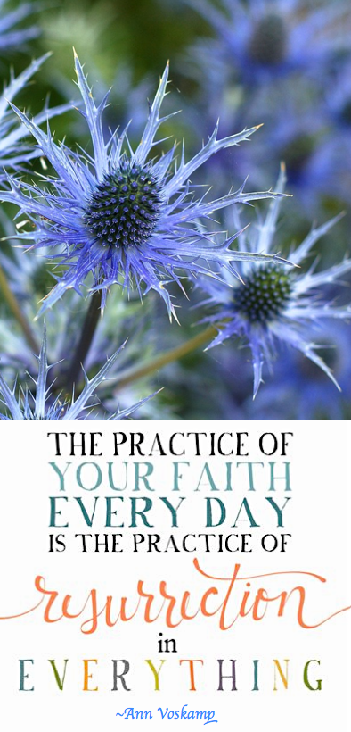 Screen Shot 2018-04-21 at 10.35.52 PM.png