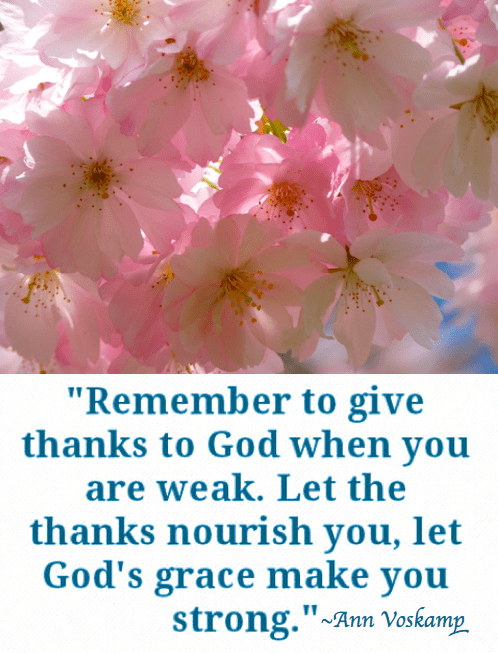 Screen Shot 2018-04-21 at 10.40.08 PM.png