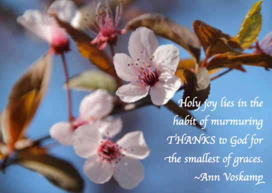 Screen Shot 2018-04-21 at 10.55.56 PM.png