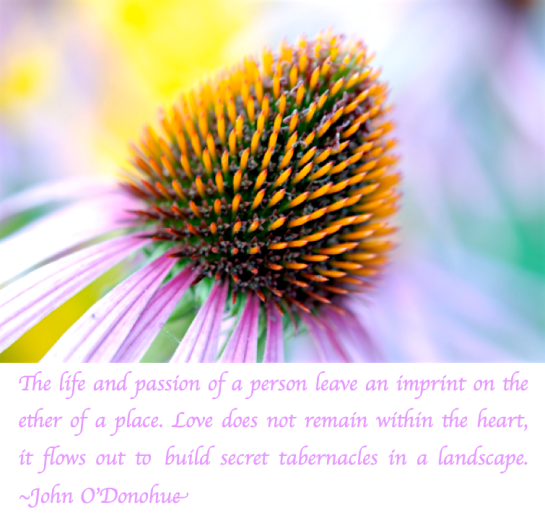 Screen Shot 2018-04-22 at 9.23.23 PM.png