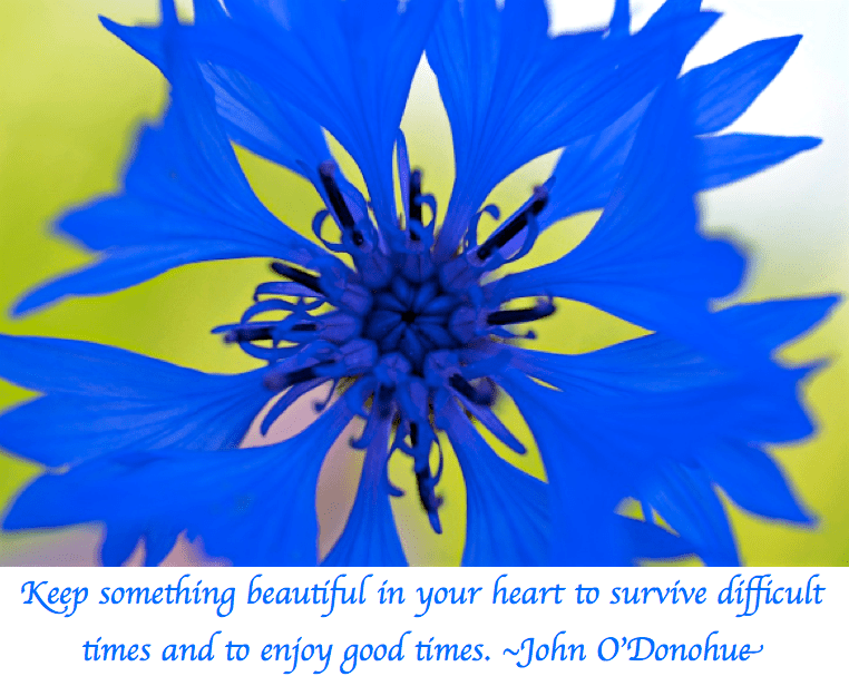 Screen Shot 2018-04-22 at 9.40.03 PM.png