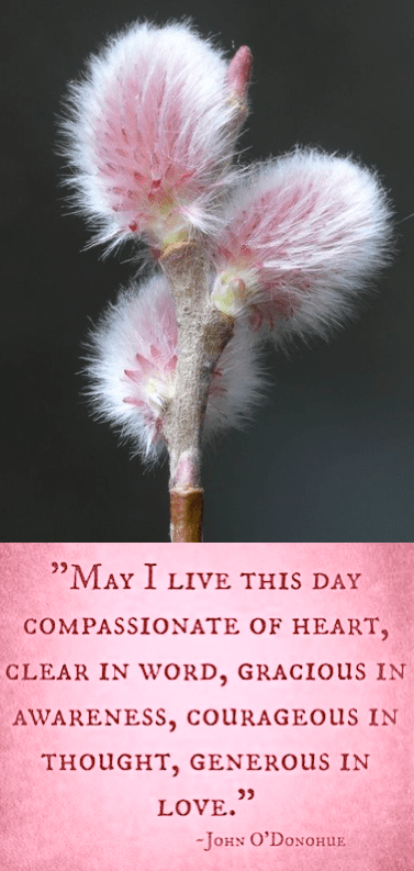 Screen Shot 2018-04-22 at 9.49.27 PM.png