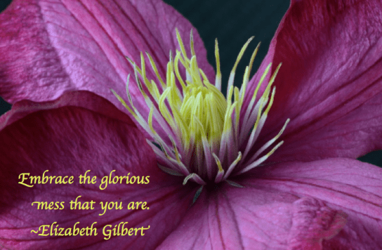 Screen Shot 2018-04-24 at 11.27.55 PM.png