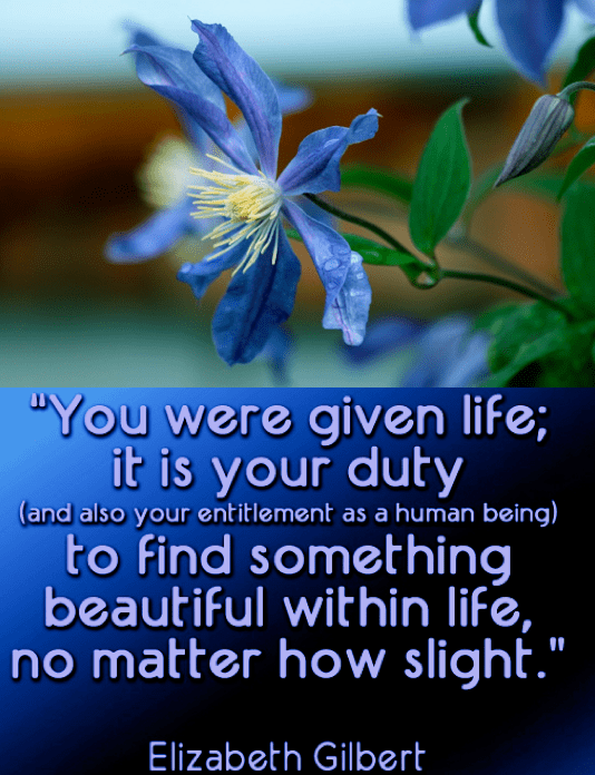 Screen Shot 2018-04-24 at 11.30.37 PM.png