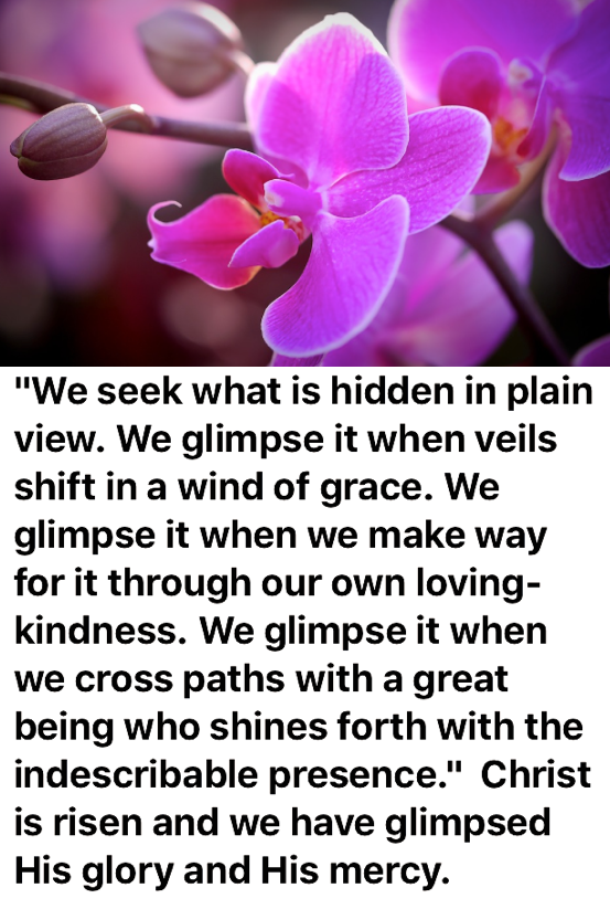 Screen Shot 2018-04-24 at 11.34.39 PM.png