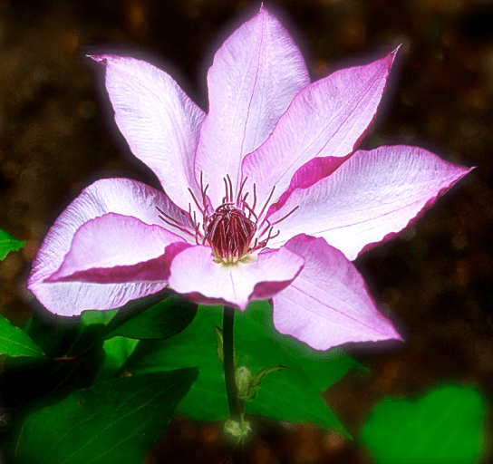 Screen Shot 2018-04-25 at 4.04.38 PM.png