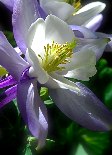 Screen Shot 2018-04-25 at 4.13.19 PM.png