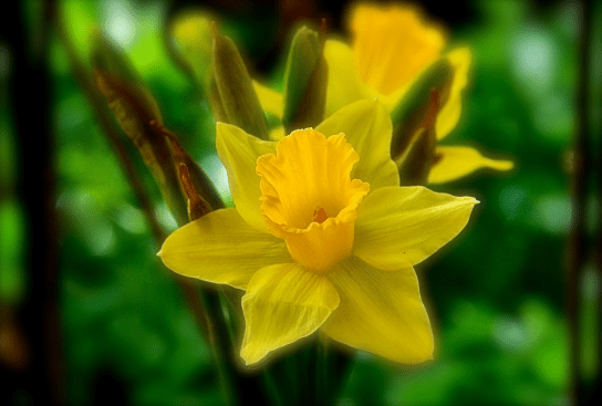 Screen Shot 2018-04-25 at 4.26.04 PM.png