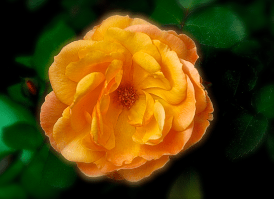 Screen Shot 2018-04-25 at 4.42.12 PM.png