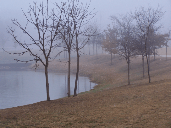 Screen Shot 2018-04-25 at 4.47.53 PM.png