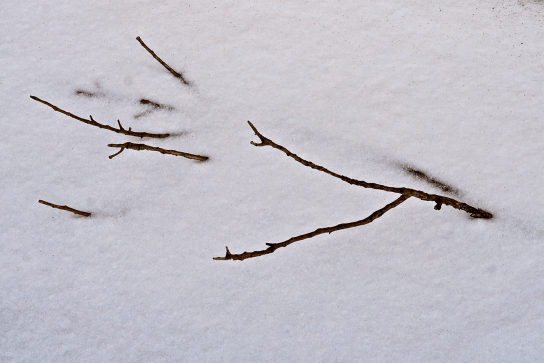 Screen Shot 2018-04-25 at 4.56.23 PM.png