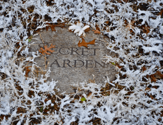 Screen Shot 2018-04-25 at 4.57.39 PM.png