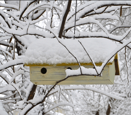 Screen Shot 2018-04-25 at 4.58.14 PM.png