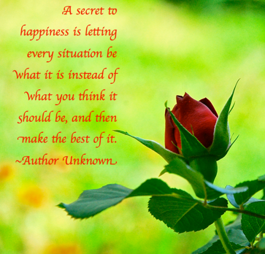 Screen Shot 2018-04-26 at 10.30.19 PM.png