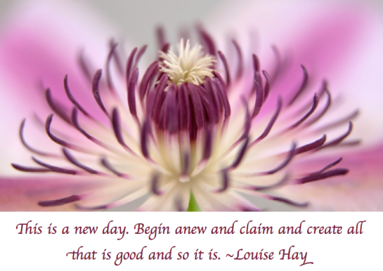 Screen Shot 2018-04-26 at 10.33.03 PM.png