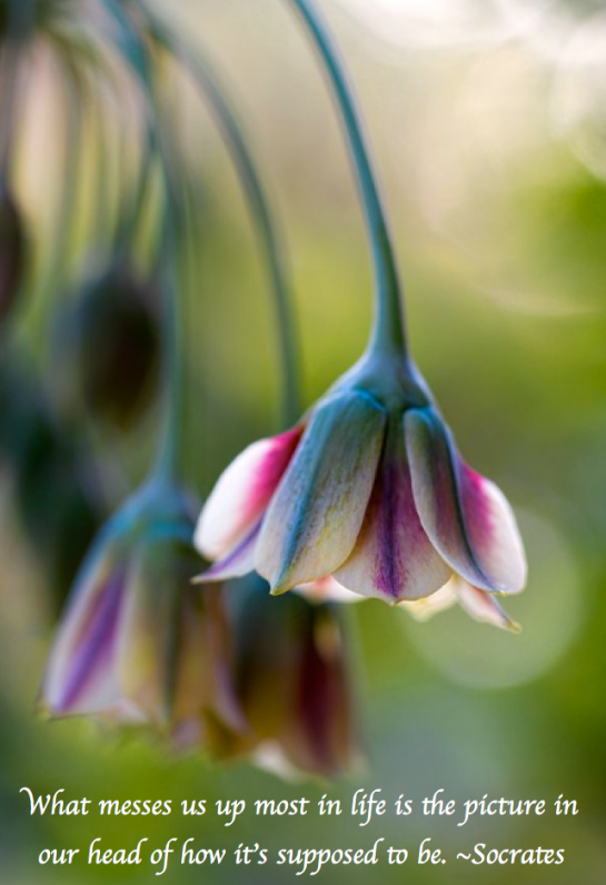 Screen Shot 2018-04-28 at 11.12.07 PM.png