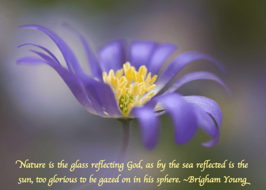 Screen Shot 2018-04-28 at 9.59.32 PM.png