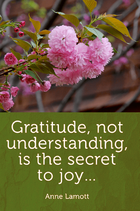 Screen Shot 2018-04-30 at 10.42.16 PM.png