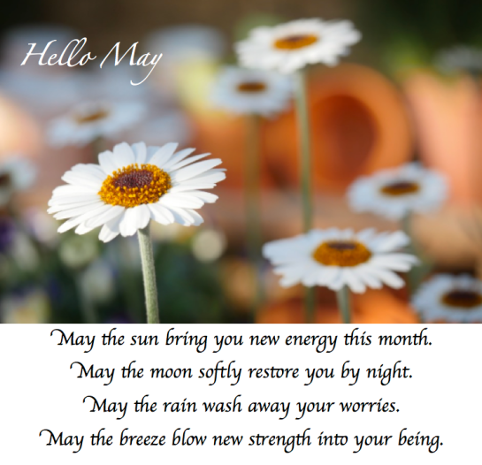 Screen Shot 2018-04-30 at 11.42.11 PM.png