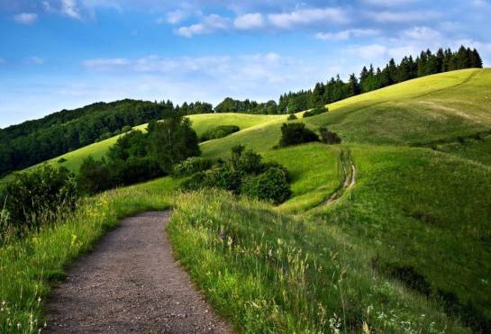 31949858_10160575970845093_7311234428963913728_o