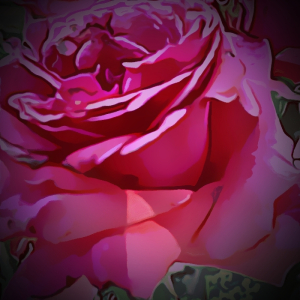 By Martha L Shaw – © Words and Pictures 5-3-2015 