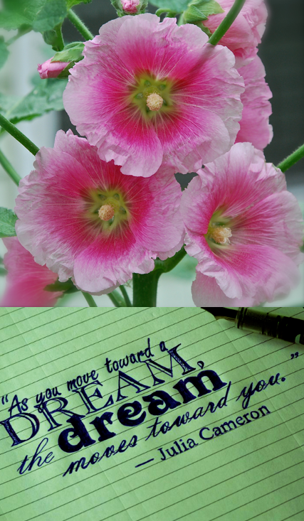 Screen Shot 2018-05-03 at 10.01.07 PM.png