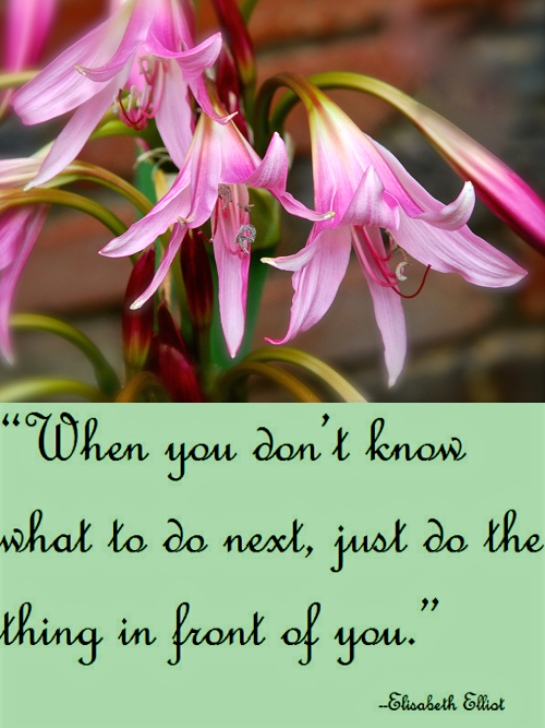 Screen Shot 2018-05-03 at 10.03.55 PM.png