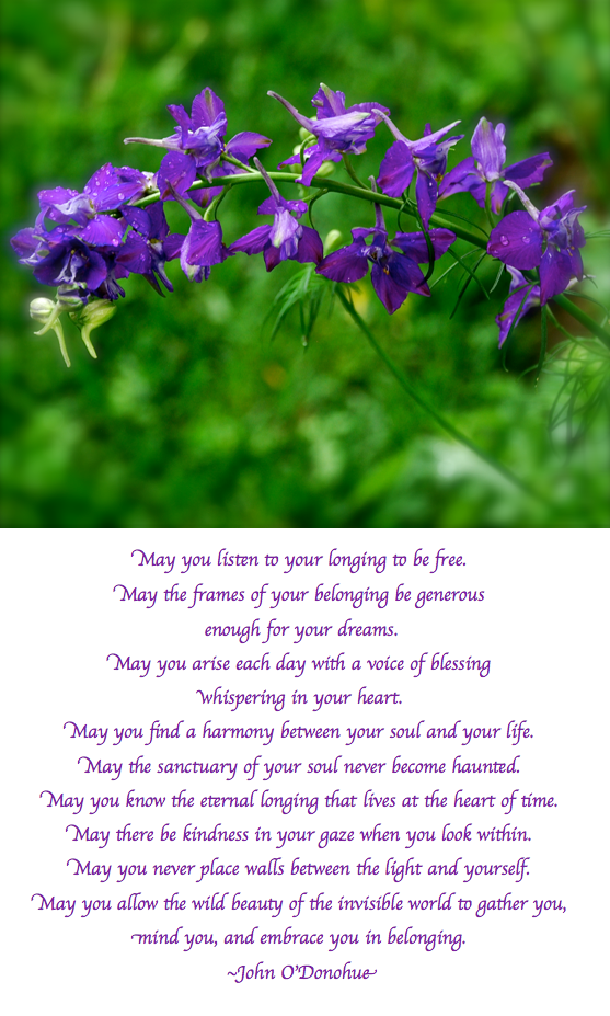 Screen Shot 2018-05-04 at 11.48.57 PM.png