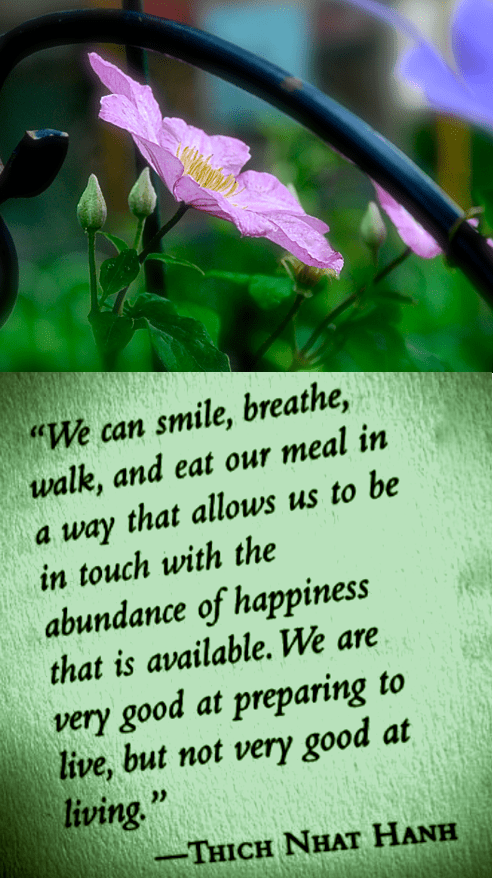 Screen Shot 2018-05-05 at 11.30.10 PM.png