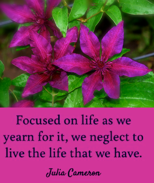 Screen Shot 2018-05-05 at 11.36.11 PM.png