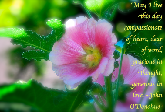 Screen Shot 2018-05-08 at 10.08.25 PM.png