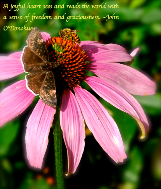 Screen Shot 2018-05-08 at 10.15.30 PM.png