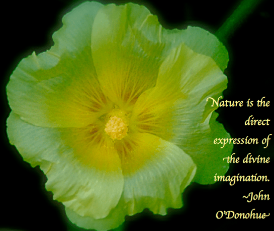 Screen Shot 2018-05-08 at 10.18.27 PM.png