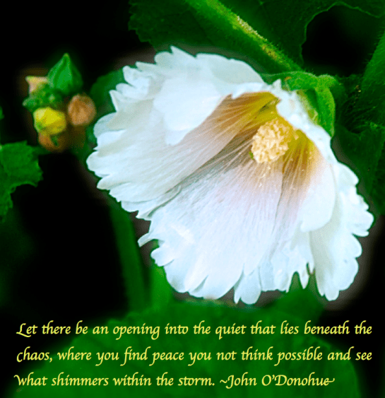 Screen Shot 2018-05-08 at 10.24.12 PM.png