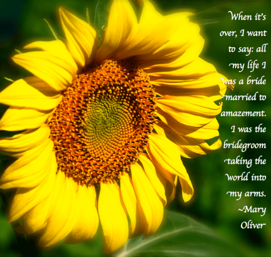 Screen Shot 2018-05-08 at 10.42.41 PM.png