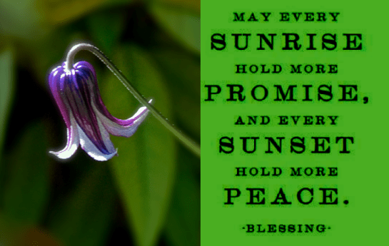 Screen Shot 2018-05-08 at 10.46.57 PM.png